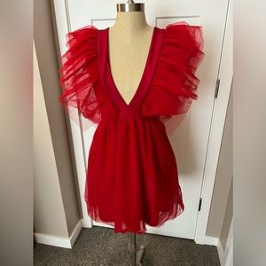 Plunging Neck Ruffle Trim Mesh Overlay Dress NWT